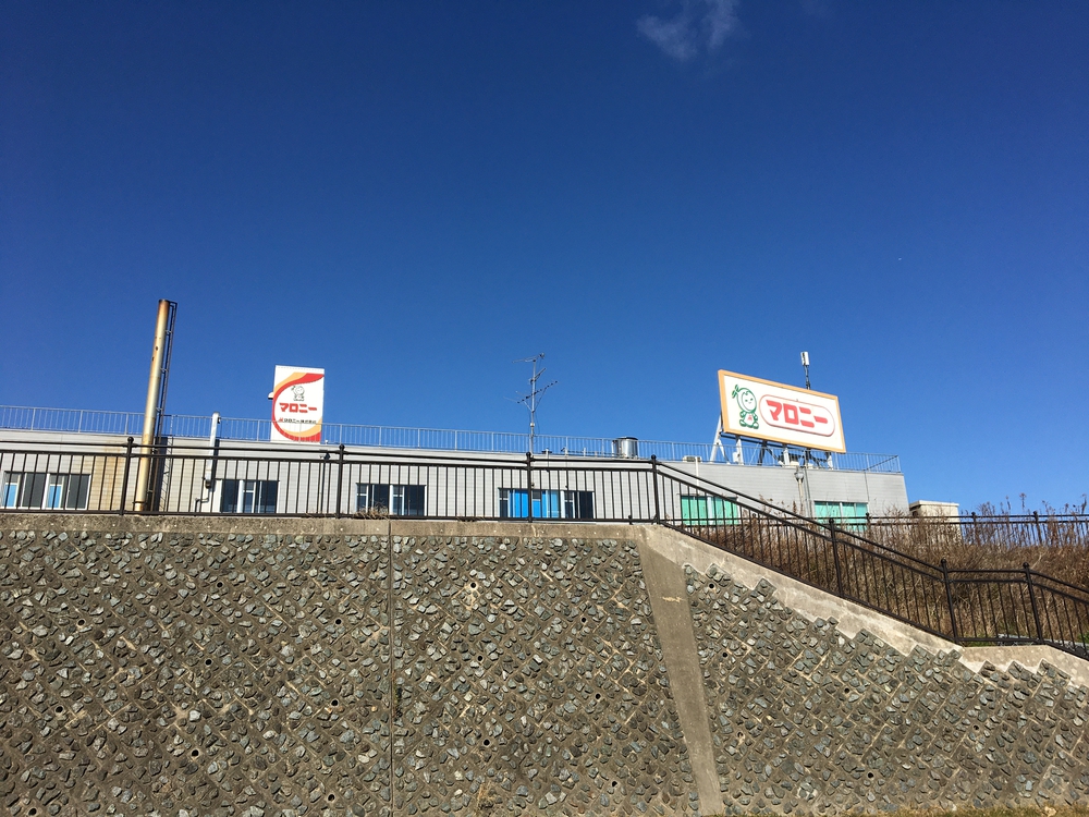 神崎川左岸ハーフマラソン練習の写真3