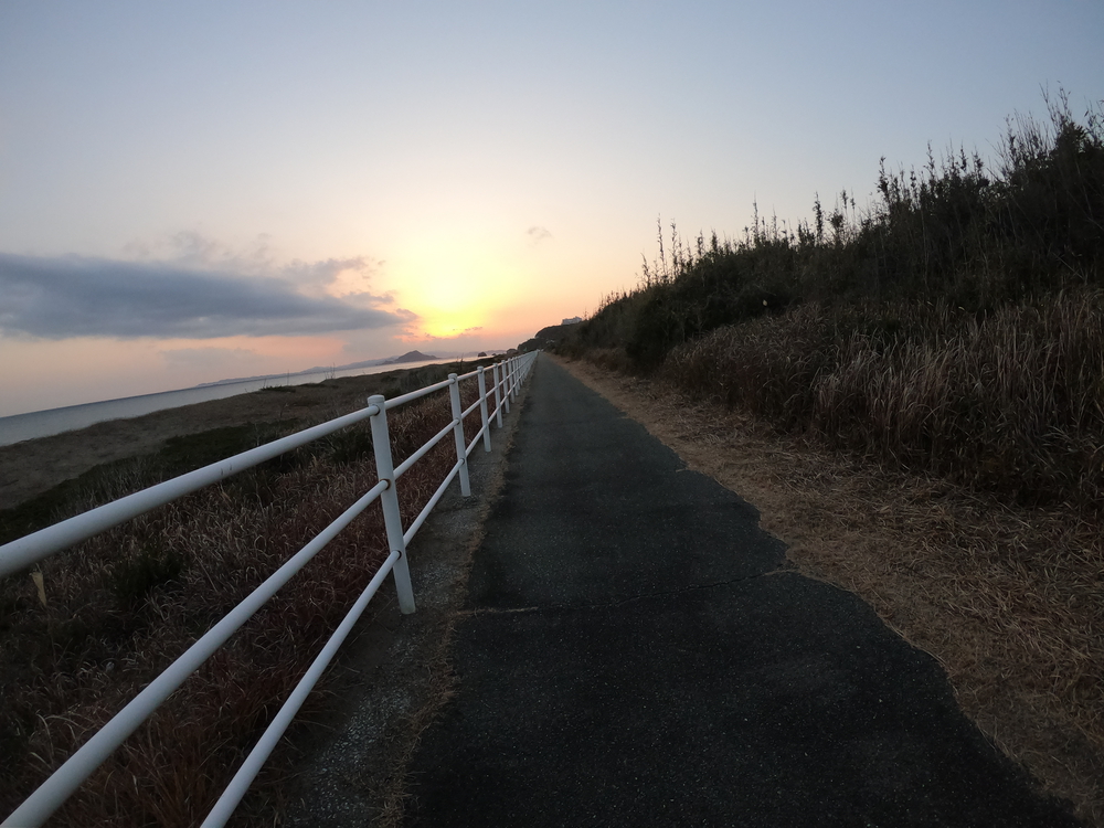 電車でいけない渥美半島を地球を感じながら走るの写真4