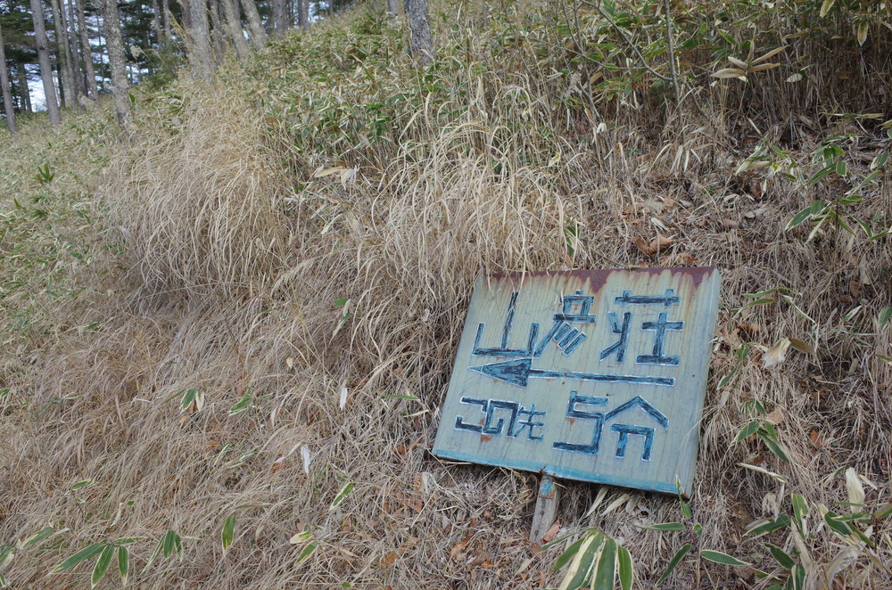 入笠山にスノートレイルランニングの写真5