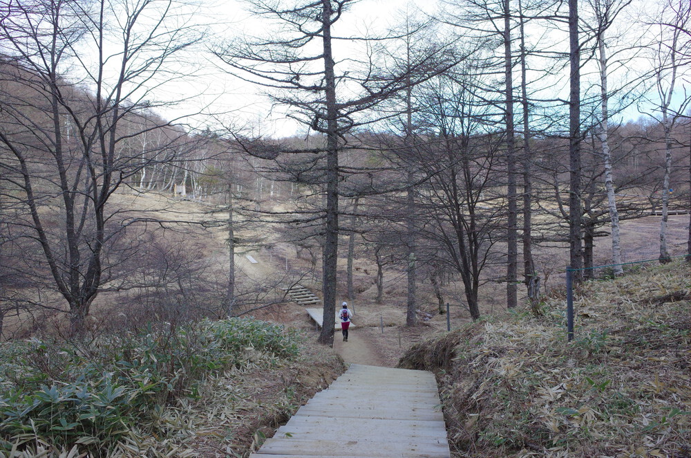 入笠山にスノートレイルランニングの写真6