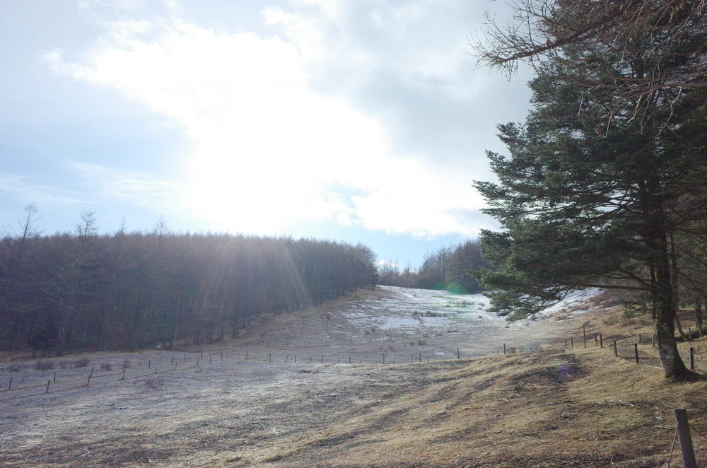 入笠山にスノートレイルランニングの写真9