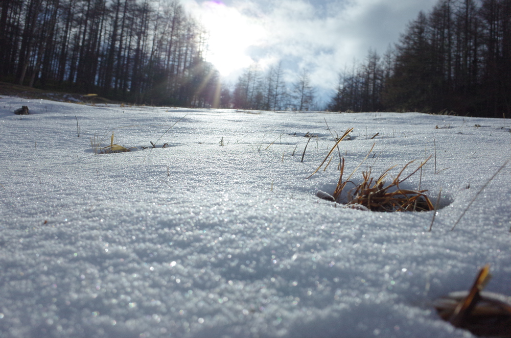 入笠山にスノートレイルランニングの写真10
