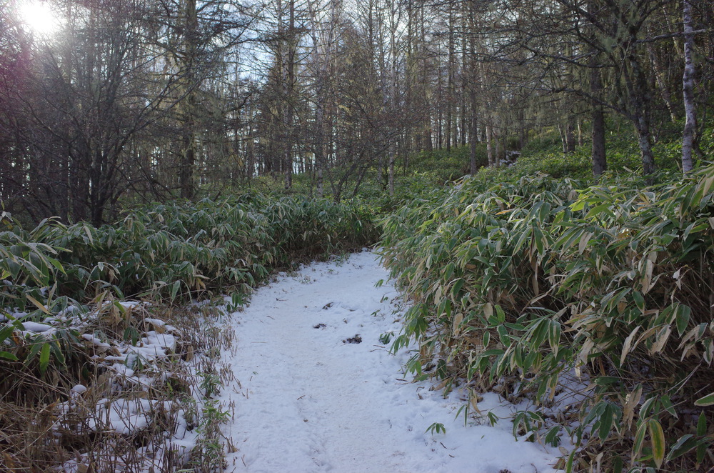 入笠山にスノートレイルランニングの写真11