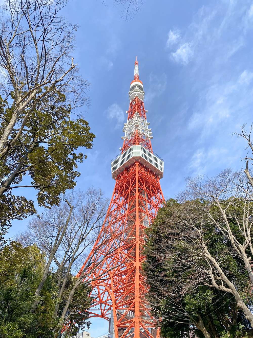 小江戸大江戸2021都心部のコースの写真4