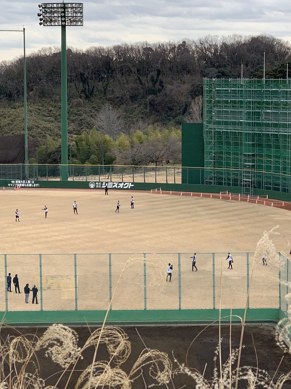 よみうりランド外輪一周・ウォーキングコースの写真3