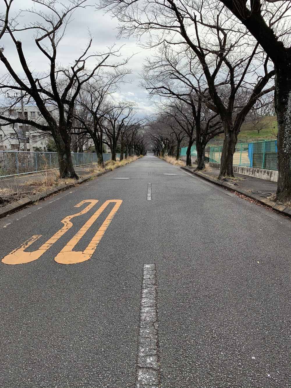 よみうりランド外輪一周・ウォーキングコースの写真10