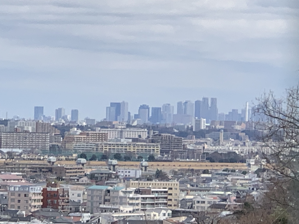 よみうりランド外輪一周・ウォーキングコースの写真13