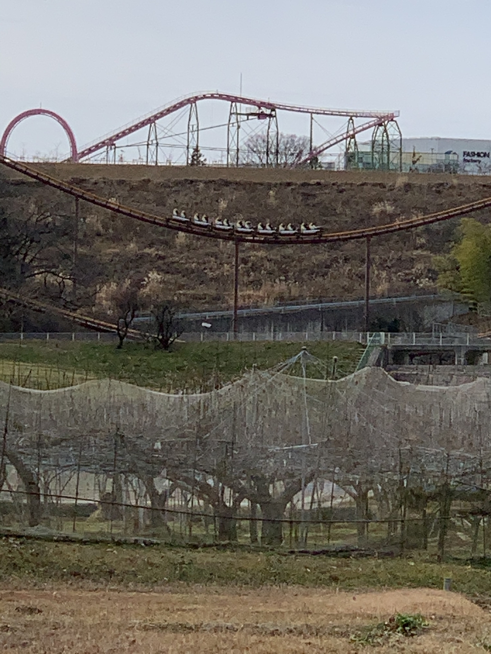 よみうりランド外輪一周・ウォーキングコースの写真14