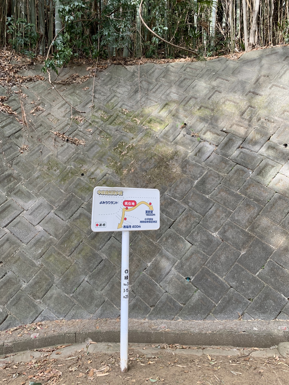 よみうりランド外輪一周・ウォーキングコースの写真15