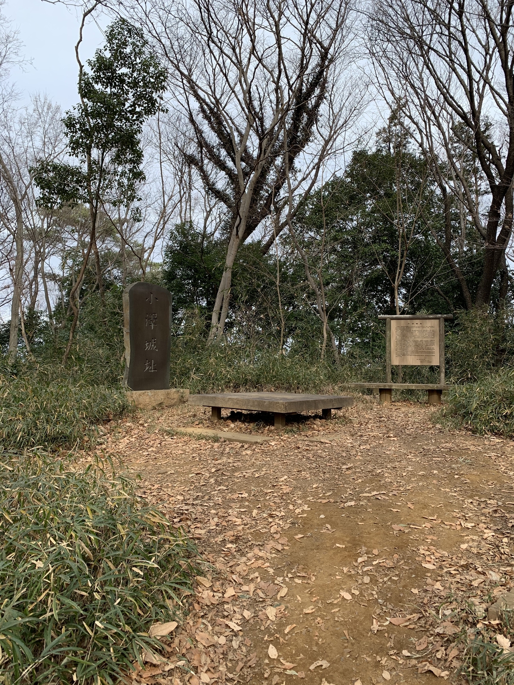 よみうりランド外輪一周・ウォーキングコースの写真17