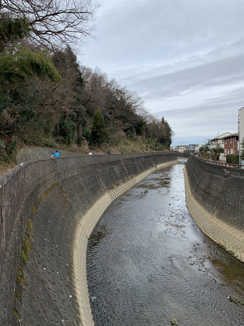 よみうりランド外輪一周・ウォーキングコースの写真18