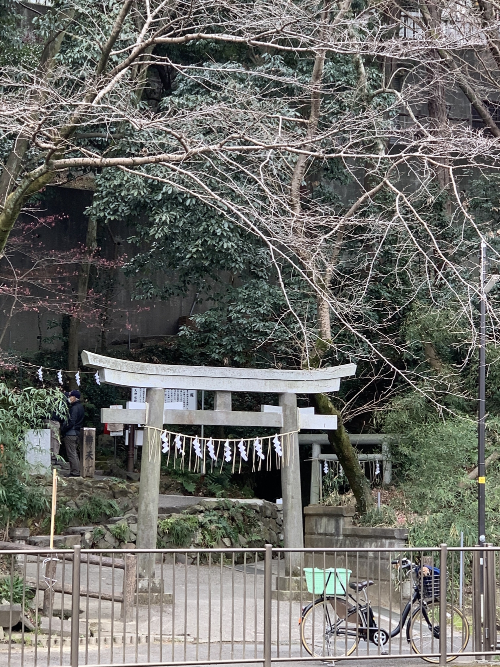 よみうりランド外輪一周・ウォーキングコースの写真19