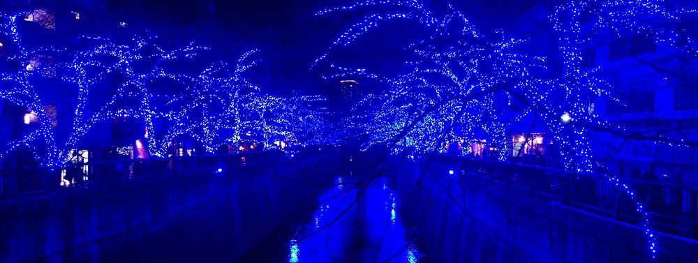 ドラマのロケ地！目黒川コース・7.5kmの写真4