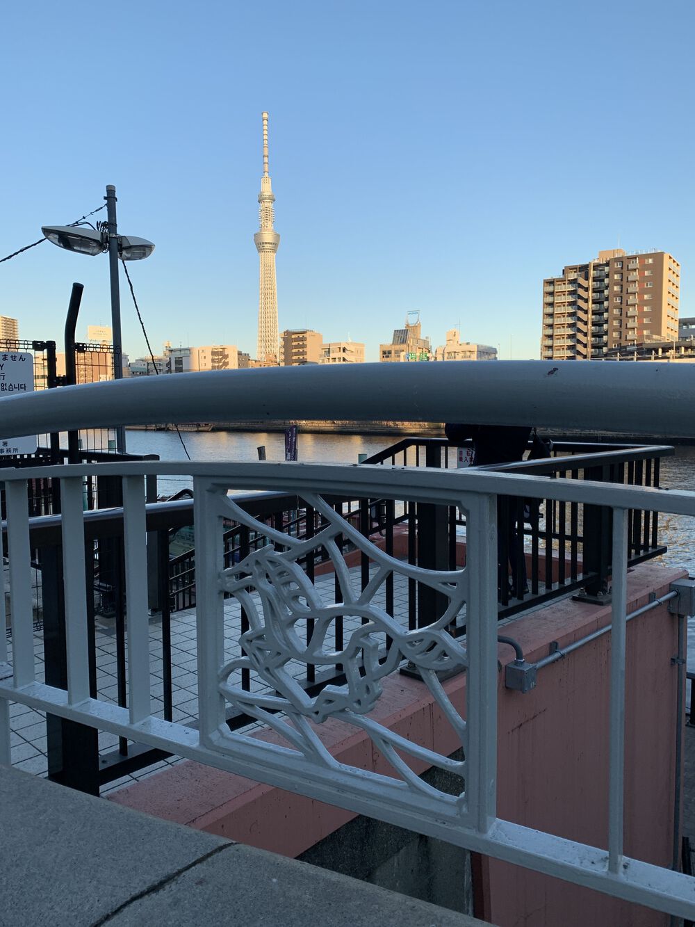 歌川広重と共にRUN 隅田川の写真5