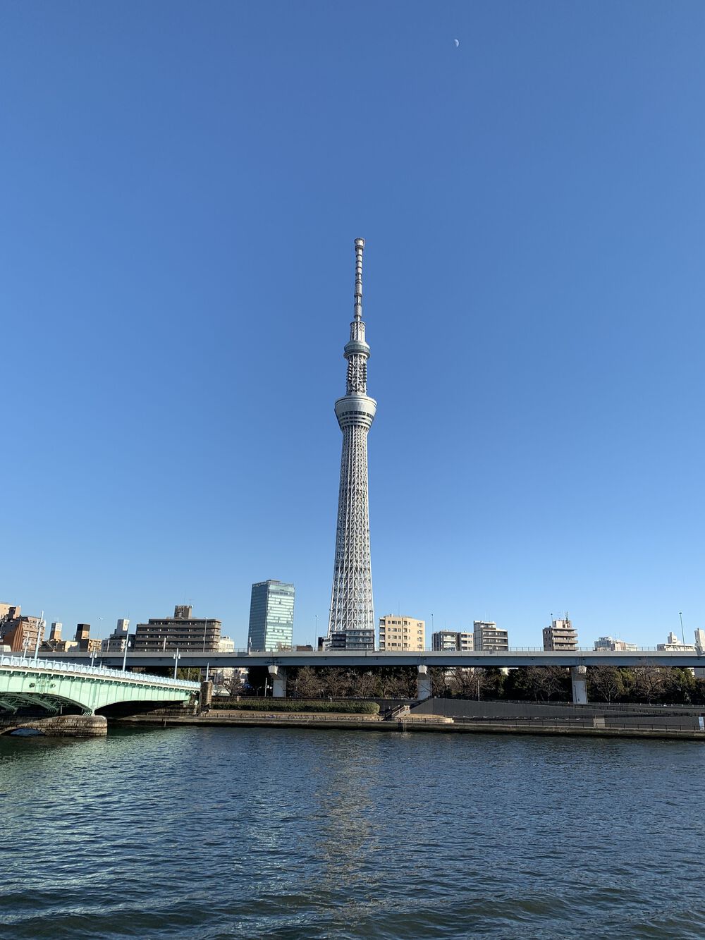 歌川広重と共にRUN 隅田川の写真6