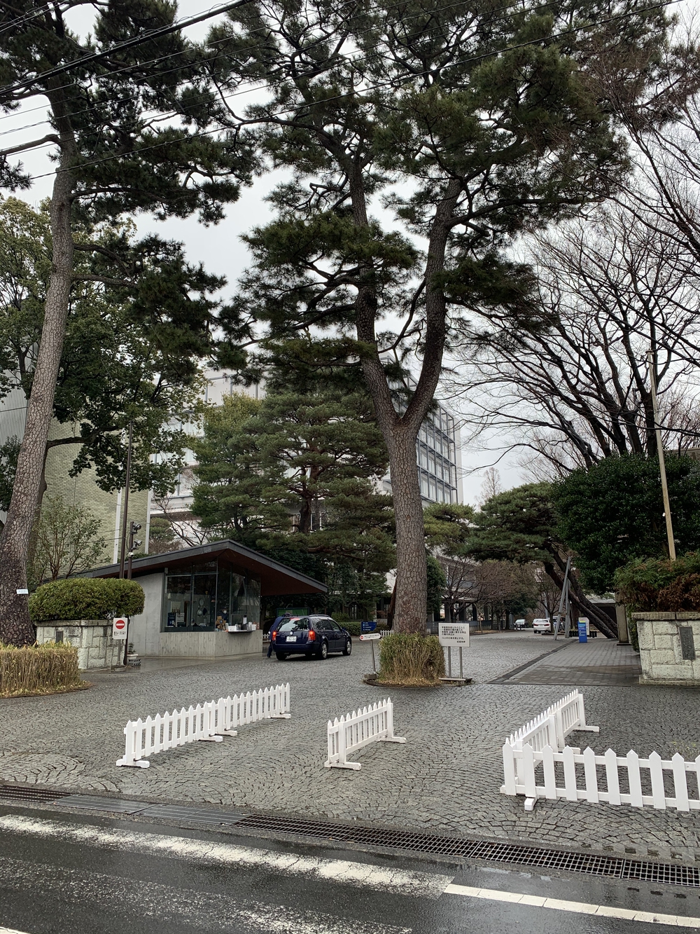 閑静。成城学園の街並みコースの写真3