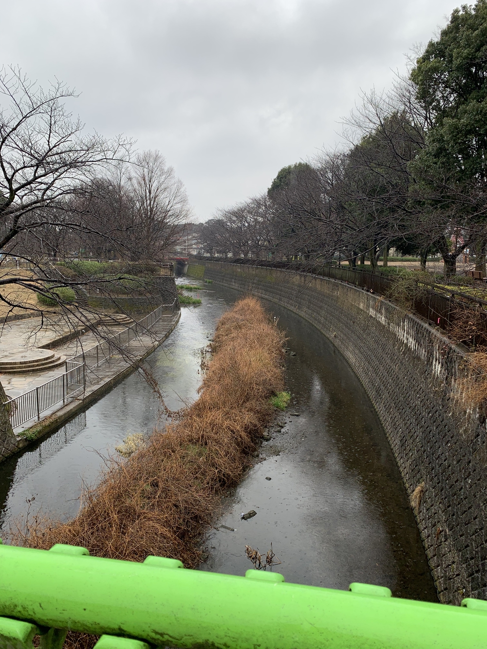 閑静。成城学園の街並みコースの写真4