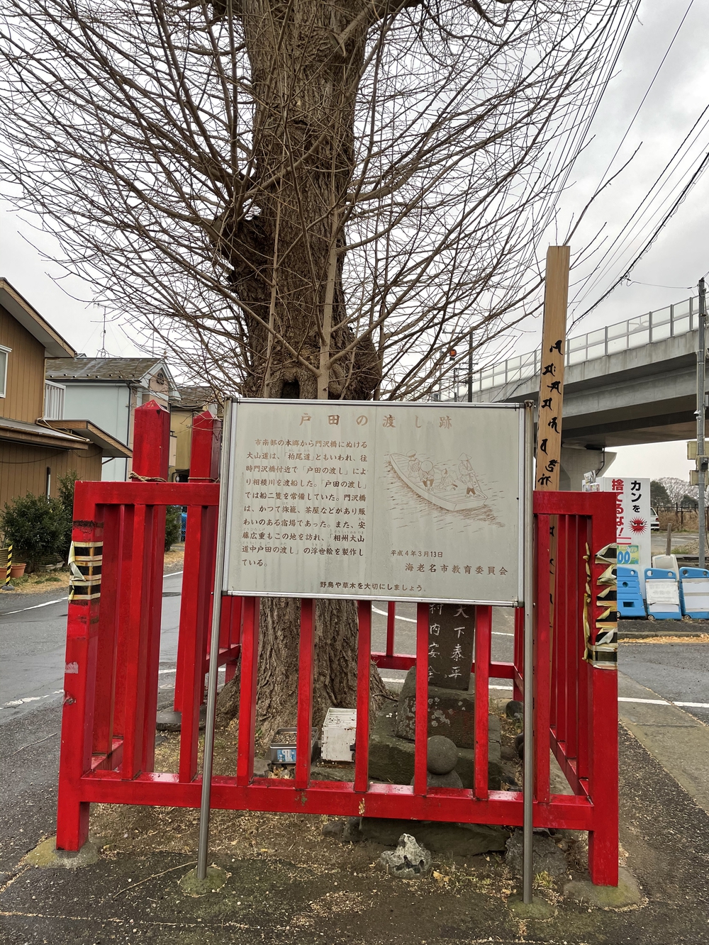 相模川堤防道路は爽やかです！　#VRWCの写真3