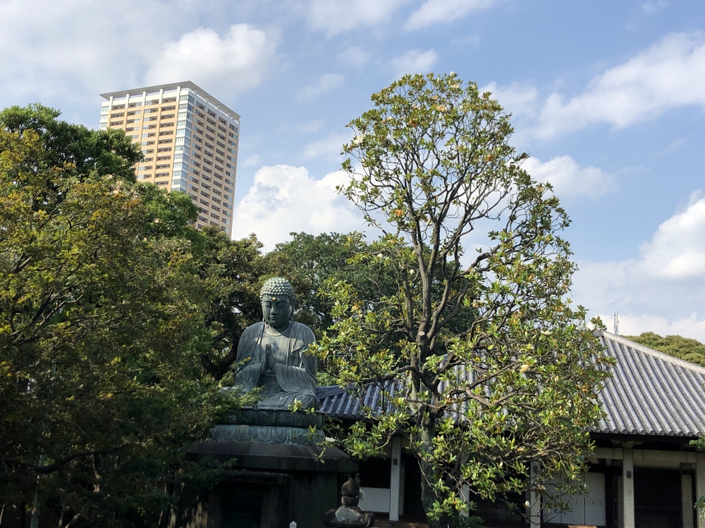 ★お絵描きラン（46）谷中のネコ😺【台東・荒川区】★の写真3