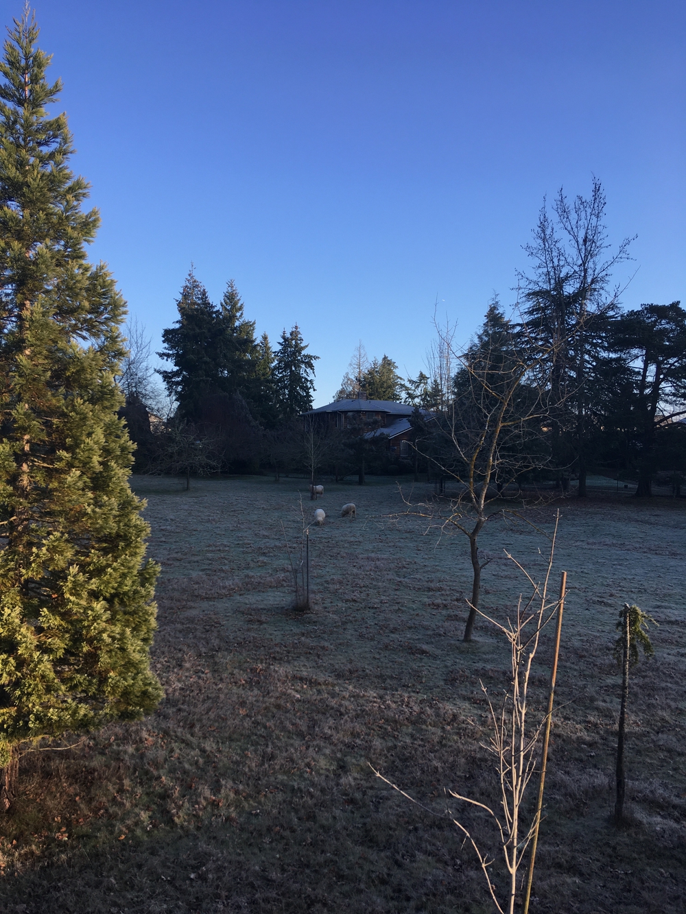 ヒルズボロ（オレゴン州）のルーチンコースの写真3