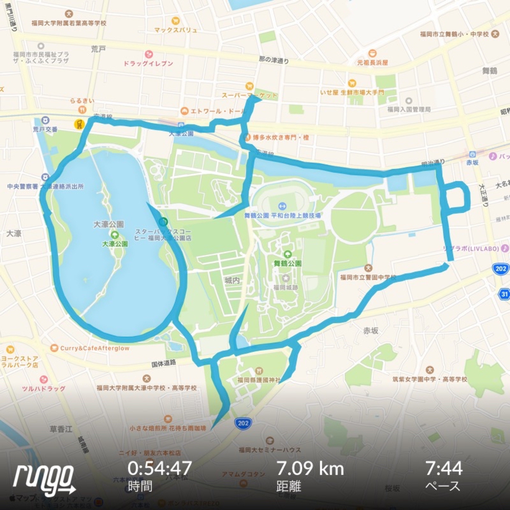 福岡で有名ビーグル犬の写真4