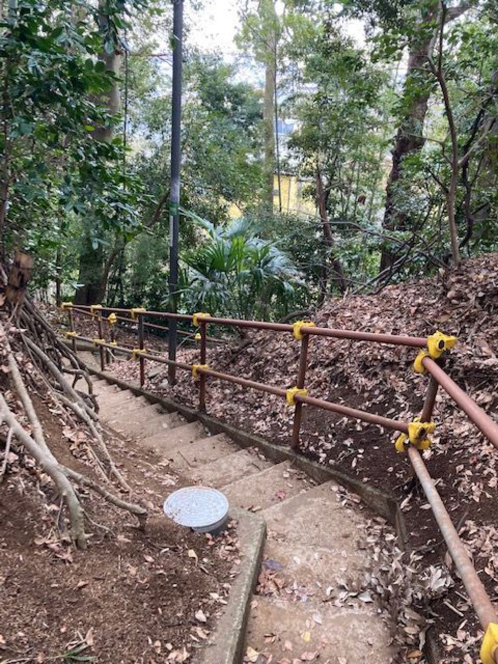 松戸史跡七福神めぐりの写真3