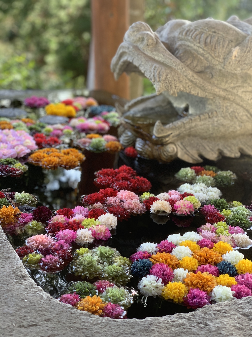 足利市内の縦走30キロコースの写真10