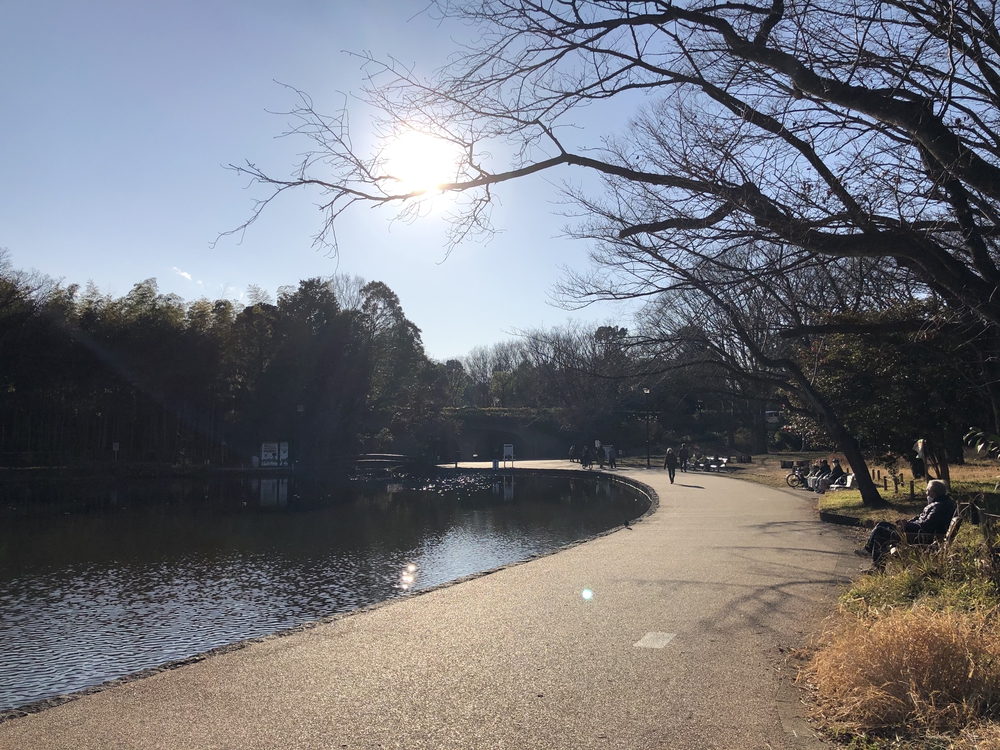 横浜市都筑区の公園を巡る都筑緑道グルっとラン19キロの写真5