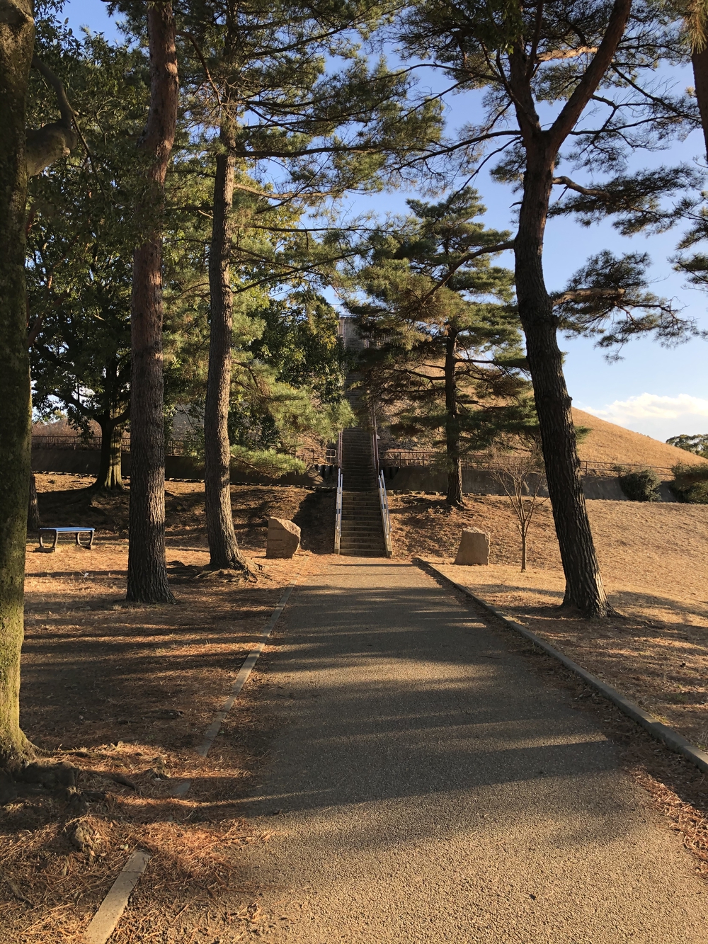 横浜市都筑区の公園を巡る都筑緑道グルっとラン19キロの写真6