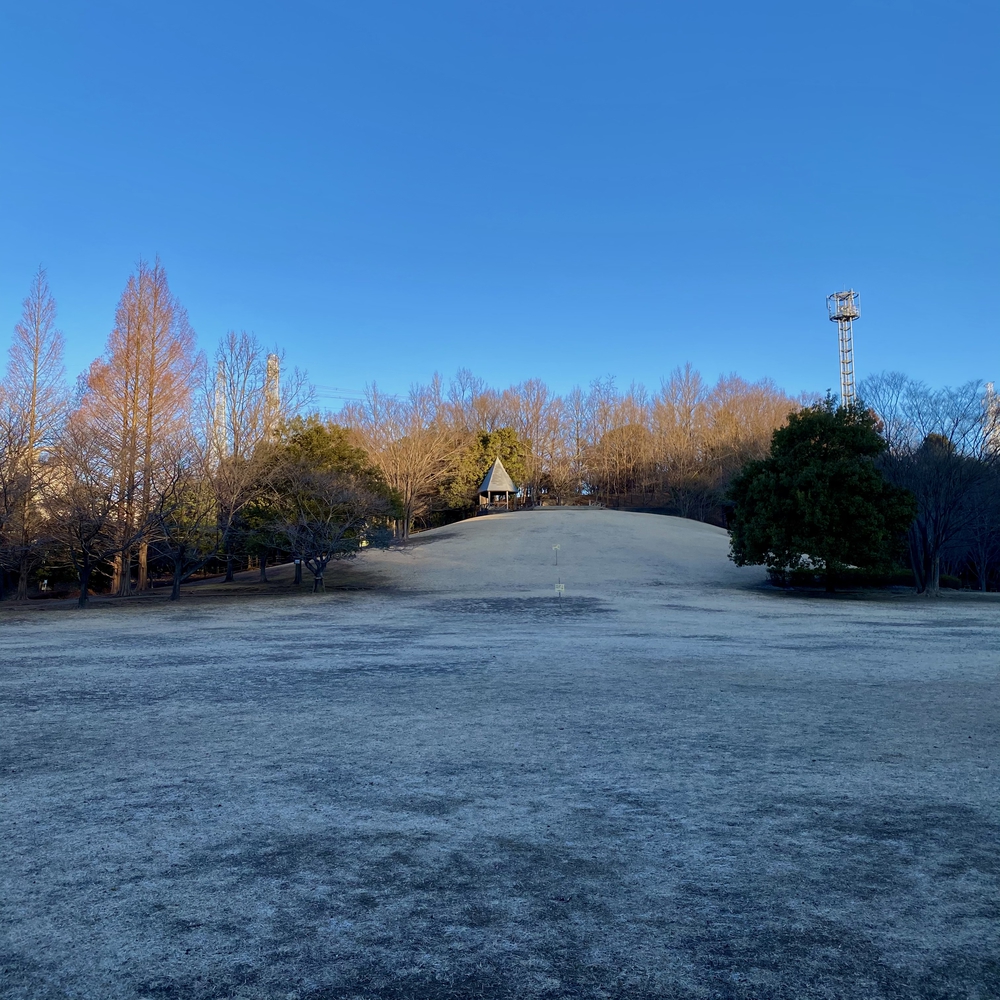 鶴川と麻生区の尾根を巡るプチトレイル20キロの写真3