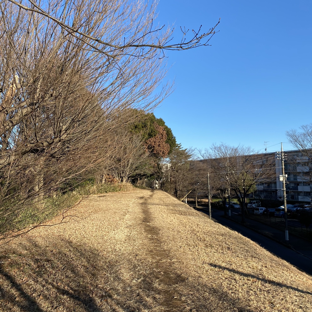 鶴川と麻生区の尾根を巡るプチトレイル20キロの写真6