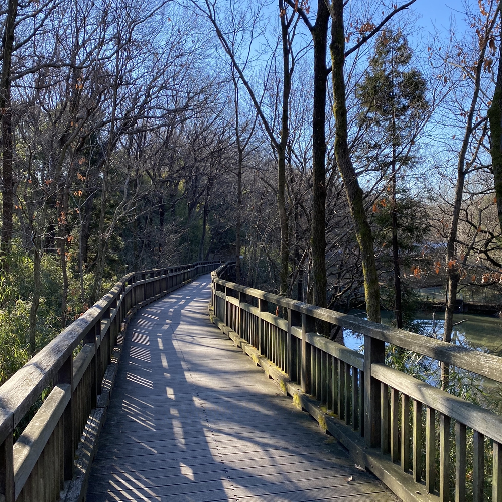 鶴川と麻生区の尾根を巡るプチトレイル20キロの写真9