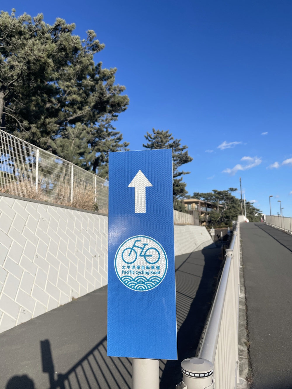 大磯町　海を感じながらサイクリングロードをショートランの写真3