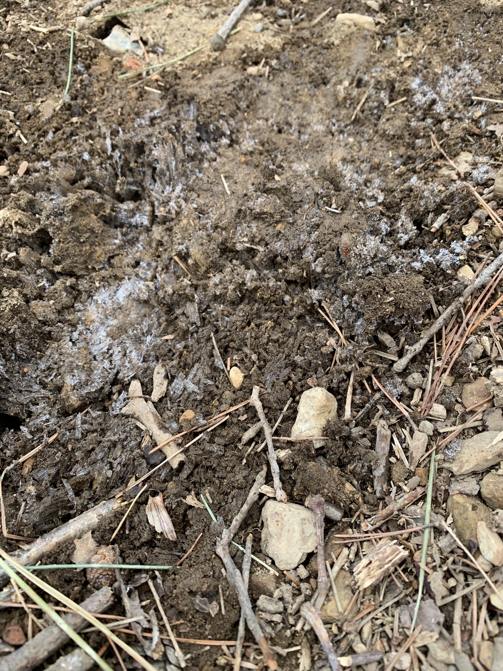 赤雪山からは氷点下の風🌪ケ岳頂上では景色がよく最高の景色⛰の写真3