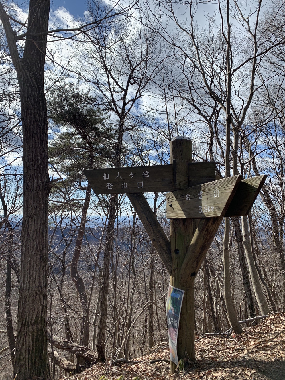 赤雪山からは氷点下の風🌪ケ岳頂上では景色がよく最高の景色⛰の写真7
