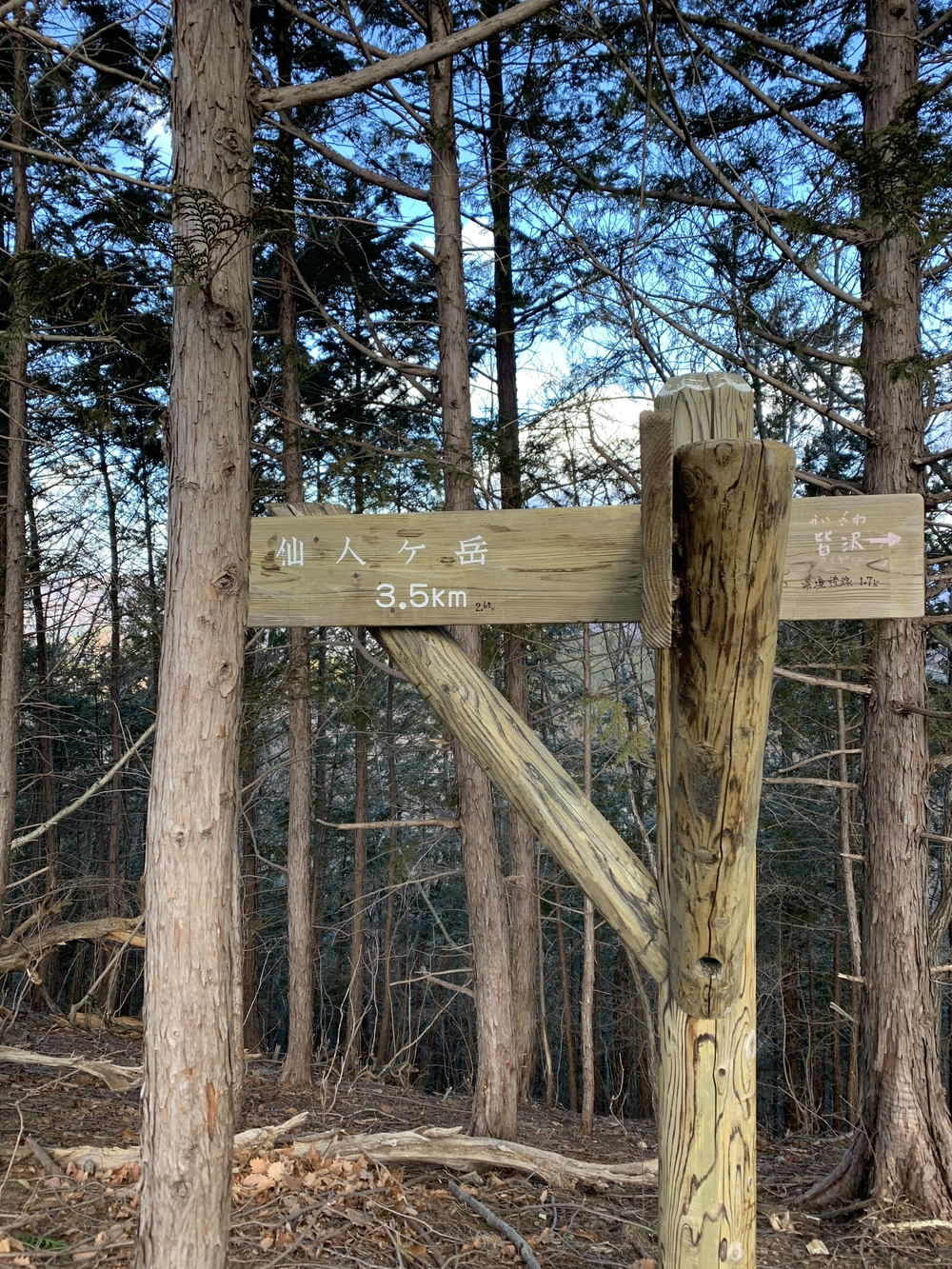 赤雪山からは氷点下の風🌪ケ岳頂上では景色がよく最高の景色⛰の写真8