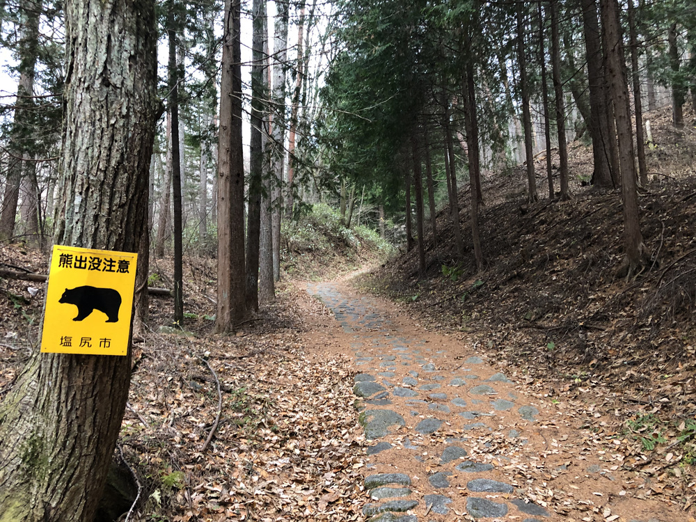 旧中山道トレイル：奈良井宿から鳥居峠への写真6