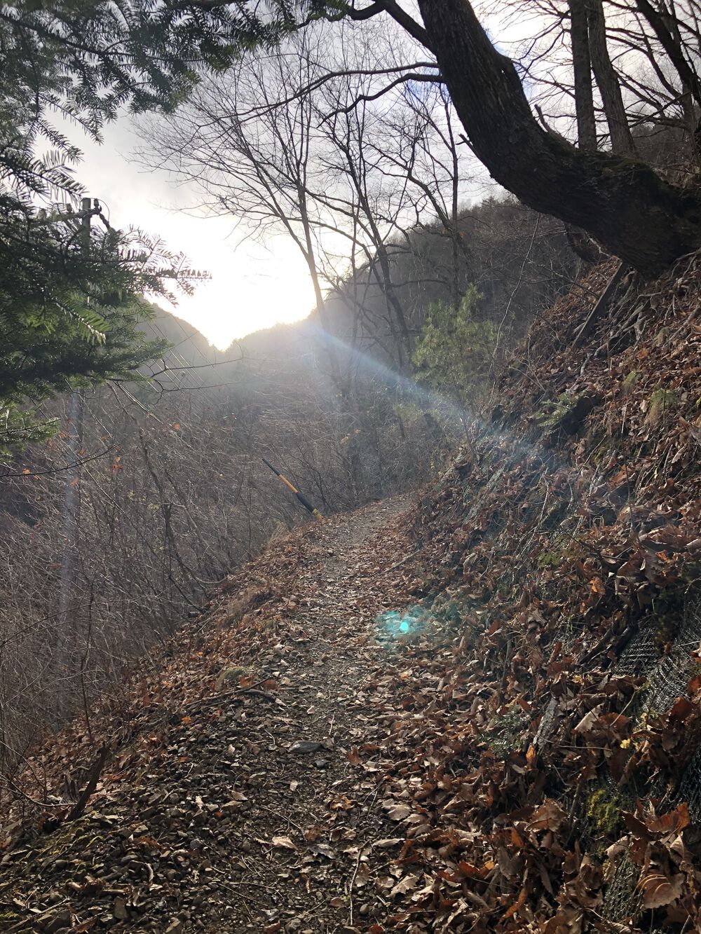 旧中山道トレイル：奈良井宿から鳥居峠への写真7