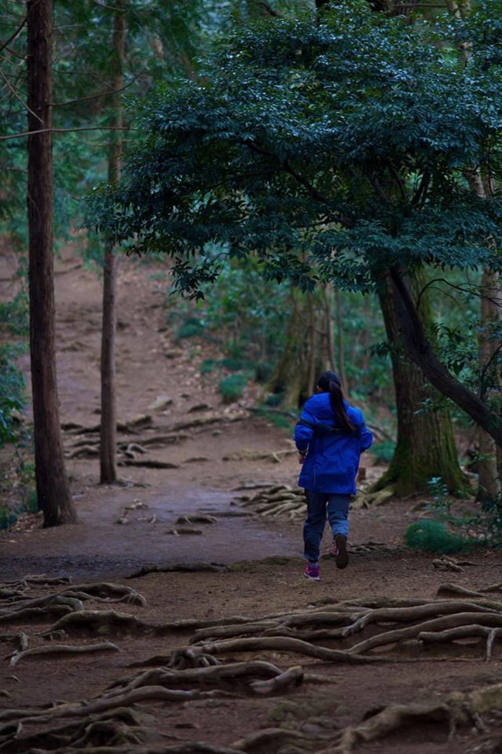 高尾山・稲荷山〜もみじ台〜山頂〜6号路の写真4