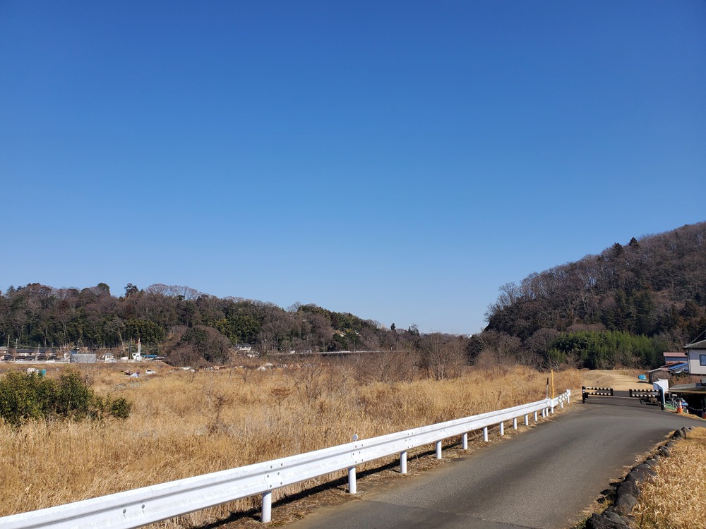 厚木自然RUN🏃🏃‍♀️💨#2の写真4