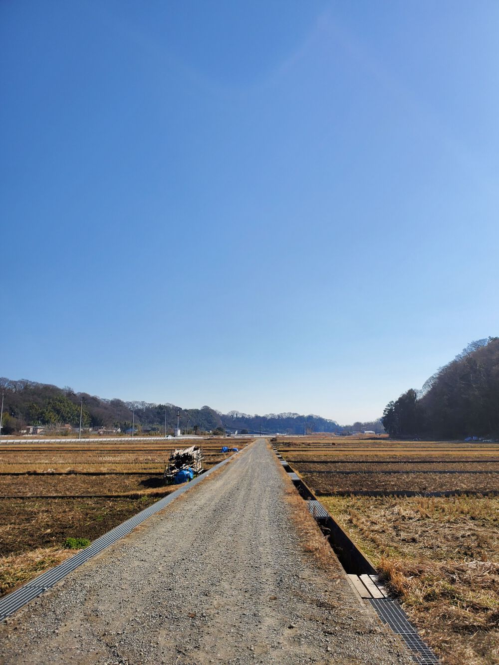 厚木自然RUN🏃🏃‍♀️💨#2の写真5