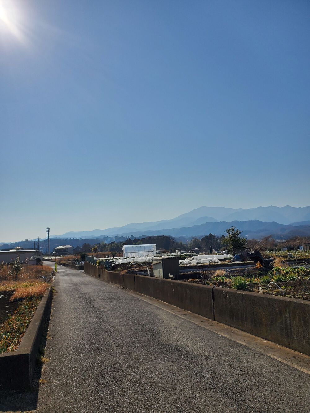 厚木自然RUN🏃🏃‍♀️💨#2の写真7