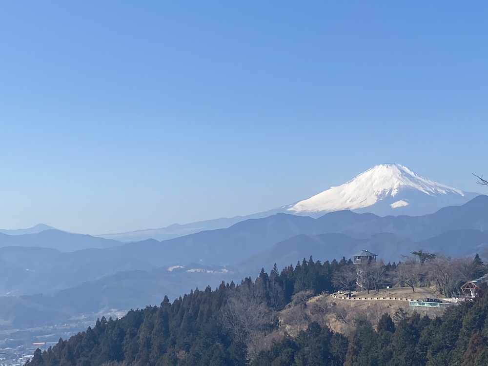 ヤビツ峠走トレーニング〜札掛橋までピストンの写真3