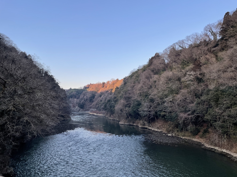 相模湖〜弁天橋〜城山〜高尾山〜稲荷山コース〜高尾山口の写真3