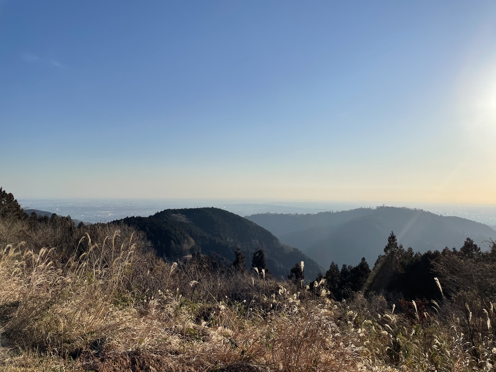 相模湖〜弁天橋〜城山〜高尾山〜稲荷山コース〜高尾山口の写真6