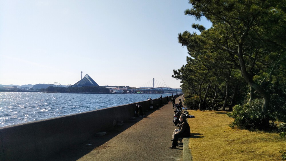 海の公園を通り、ヨットハーバーを目指して!の写真3