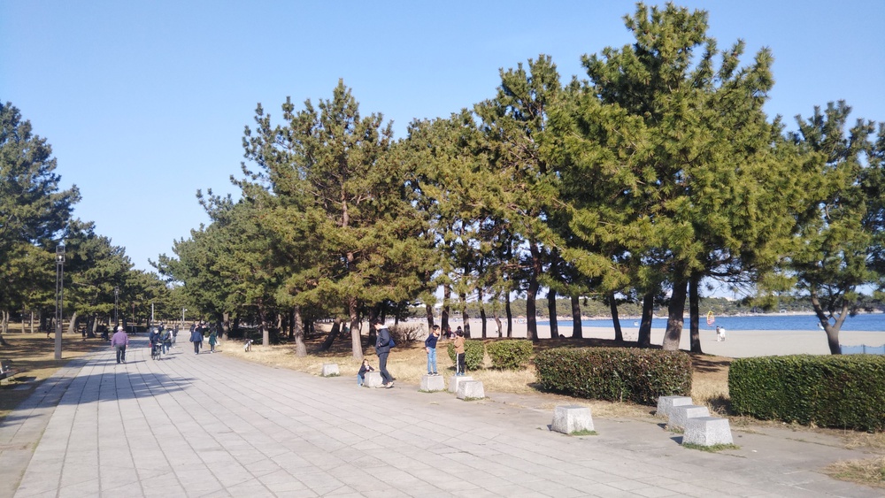 海の公園を通り、ヨットハーバーを目指して!の写真4