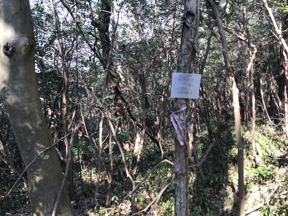 吉備中山　新コースVer3の写真3