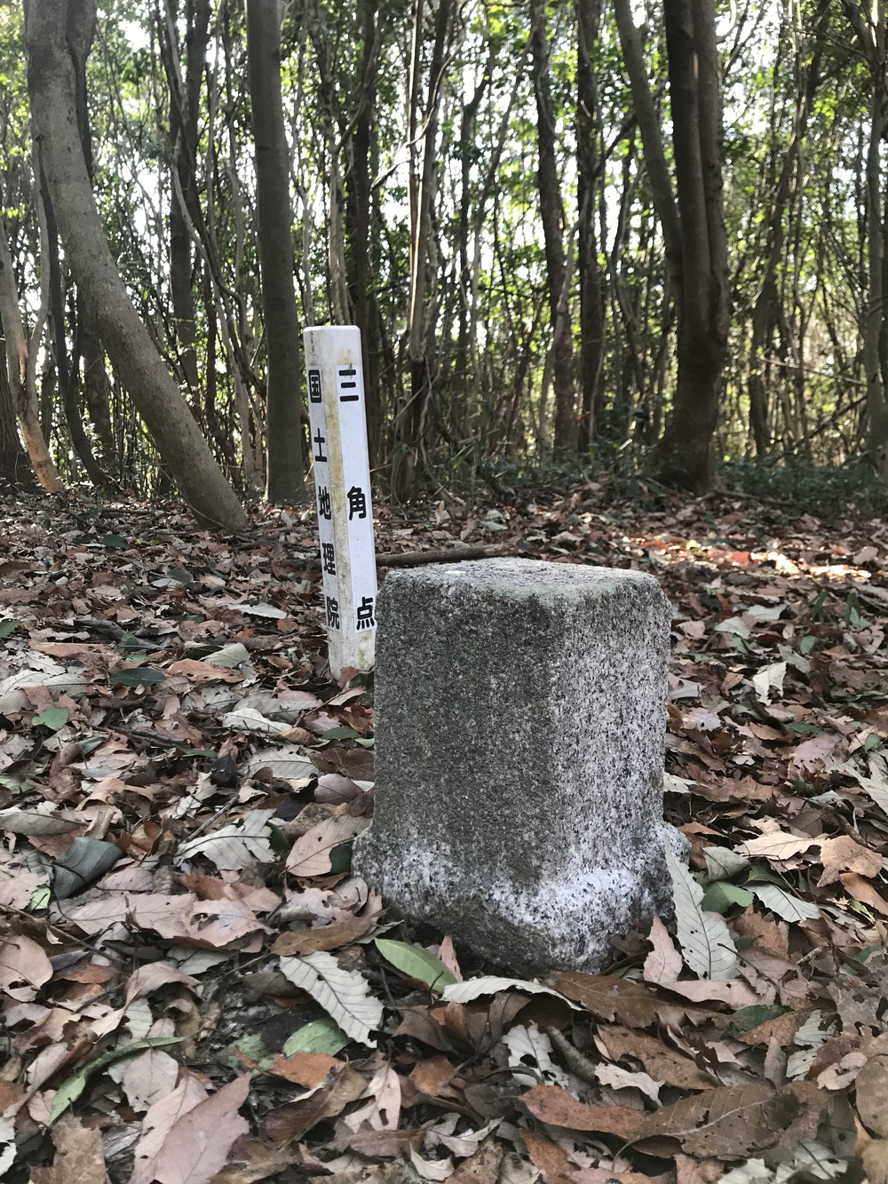 吉備中山　新コースVer3の写真4