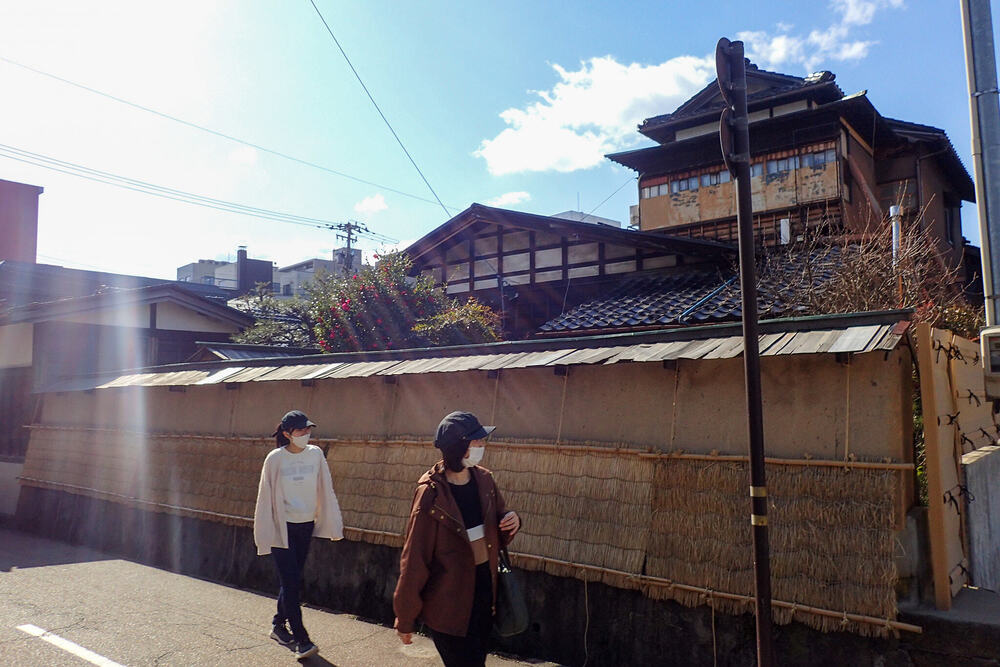 ねこお絵かきウォーキングの写真4